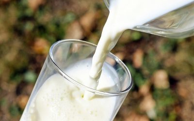 Ekspert om mælk og knogler